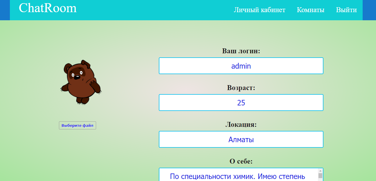 websocket